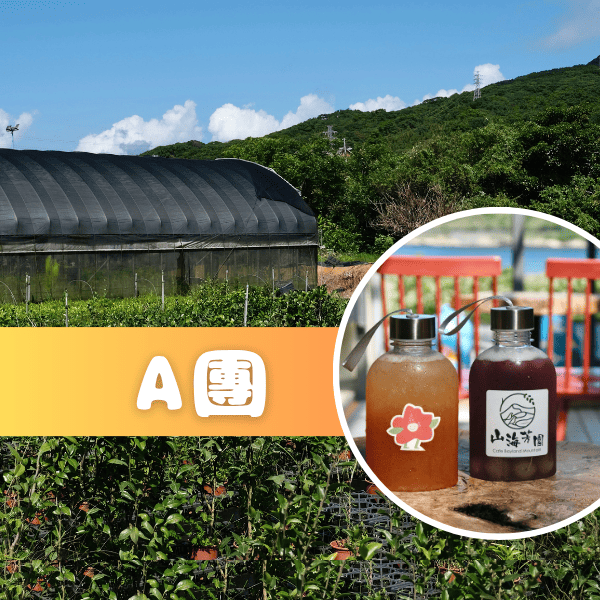 金山漫遊_萬金杜鵑 ✦ 秋季苗圃小旅行-A